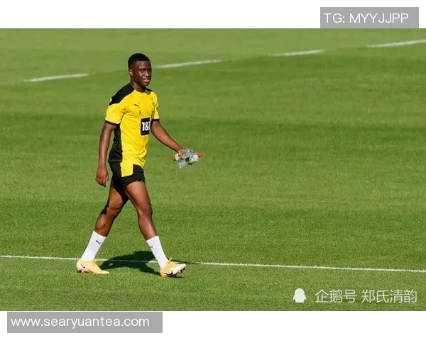 多蒙特与勒沃库森激战在即谁能在德甲赛场上笑到最后 多蒙特与勒沃库森激战在即谁能在德甲赛场上笑到最后