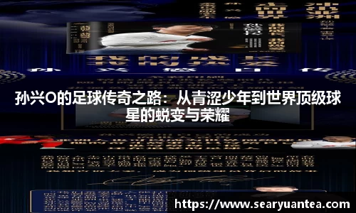 k1体育网页版
